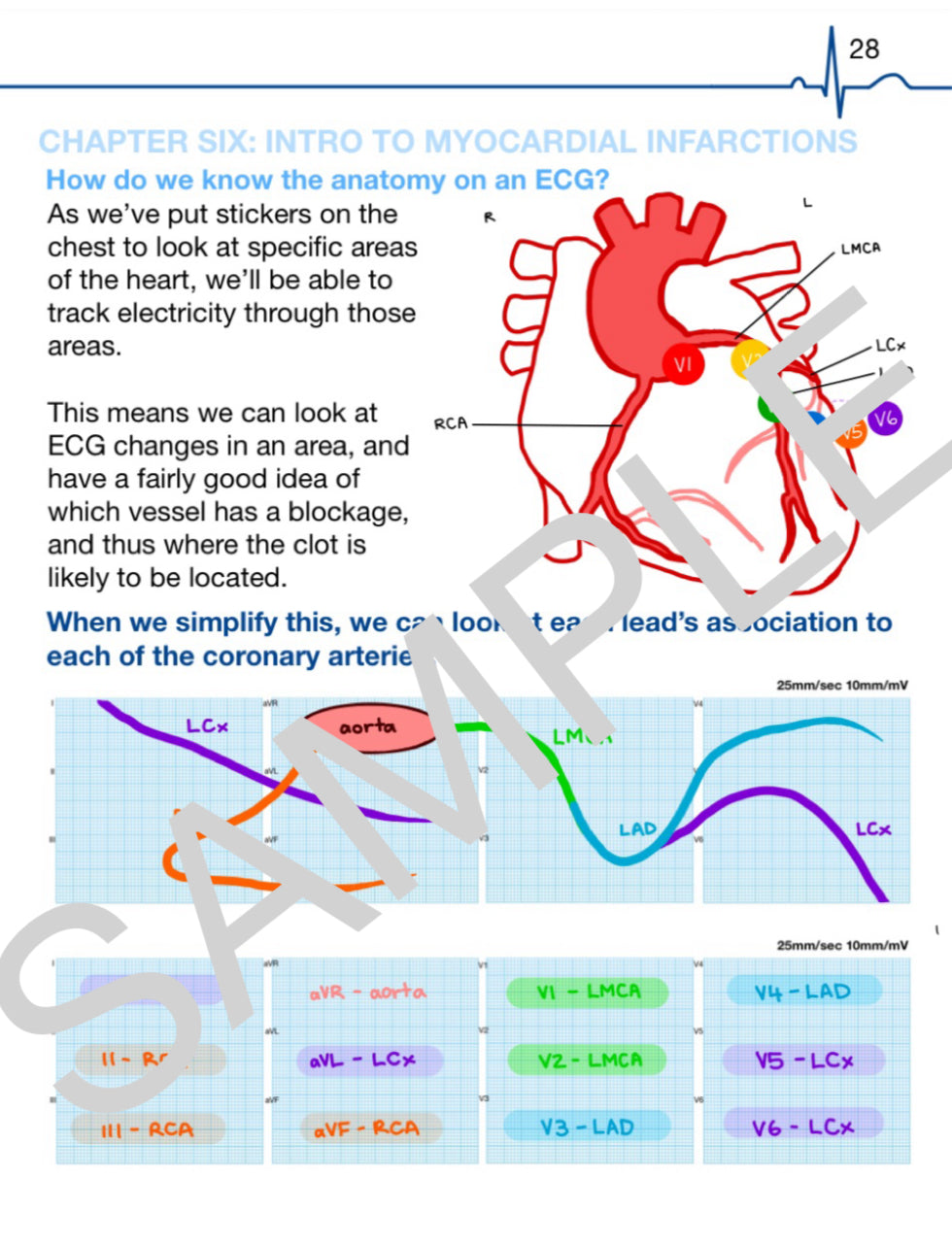 (eBooks) The Complete ECG SERIES: Book One & Two
